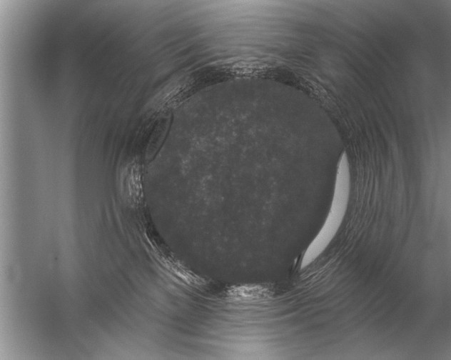 X0000057070137200510010143