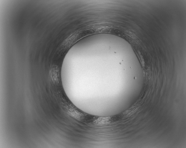 X0000057070138200510010143