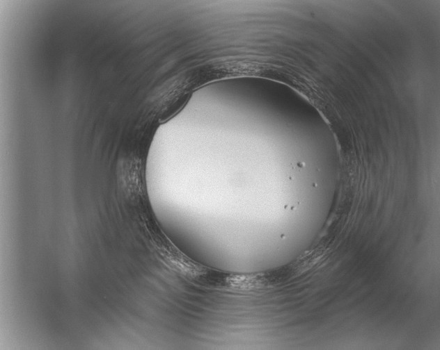 X0000057070141200510010143