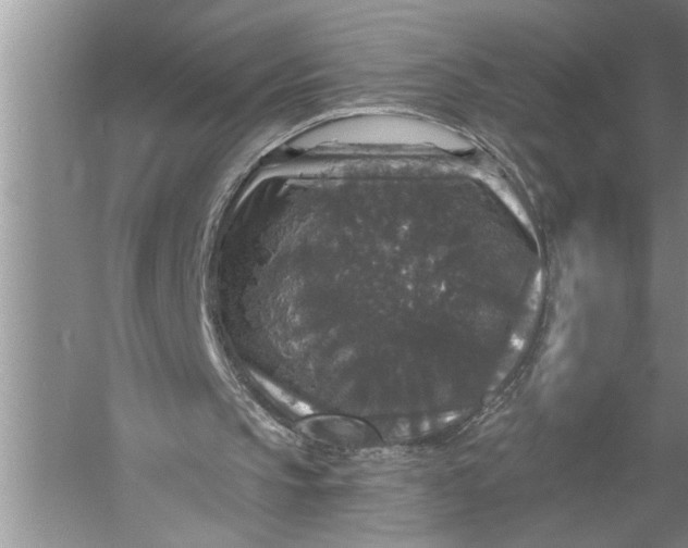 X0000057070145200510010142