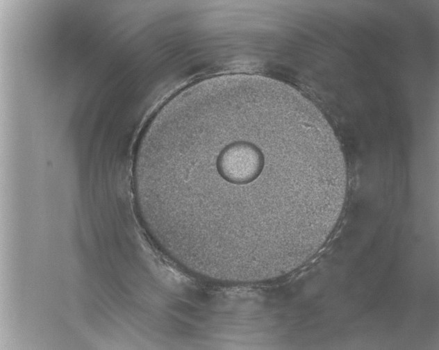 X0000057070146200510010142