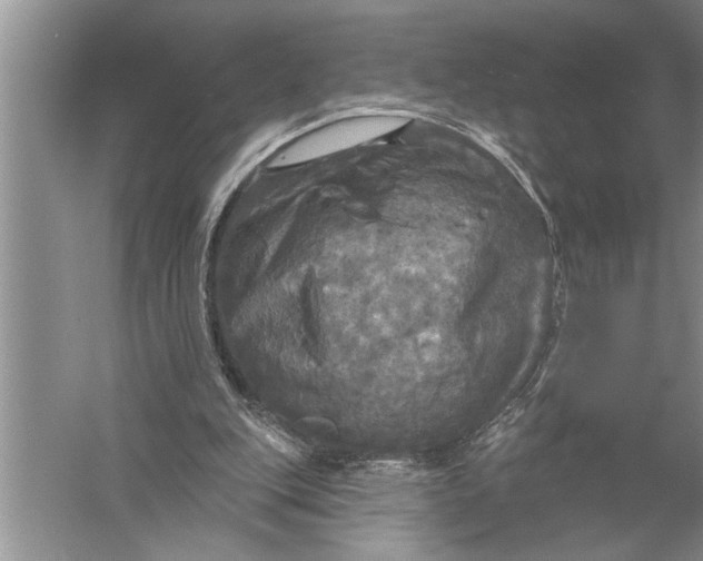 X0000057070151200510010142