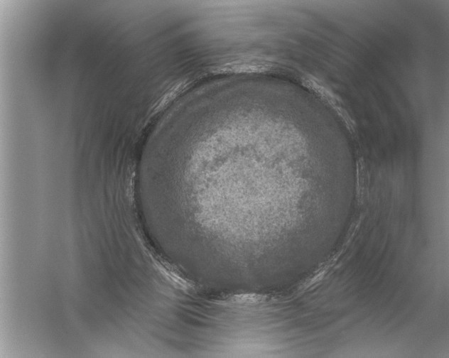 X0000057070153200510010142