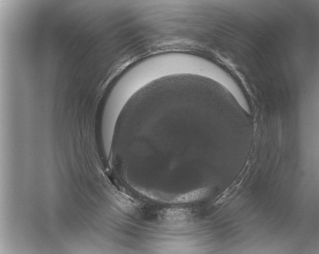 X0000057070154200510010142