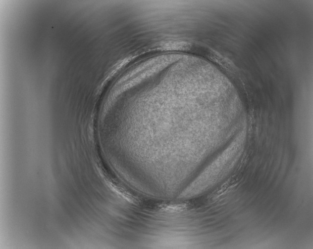 X0000057070155200510010142