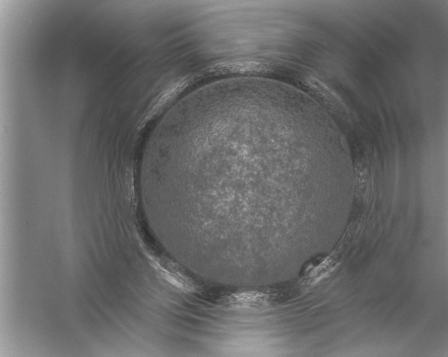 X0000057070158200510010142