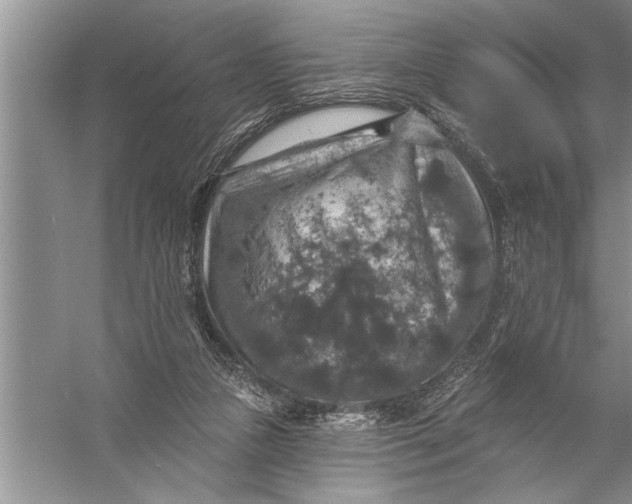 X0000057070161200510010143