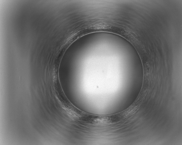 X0000057070164200510010143