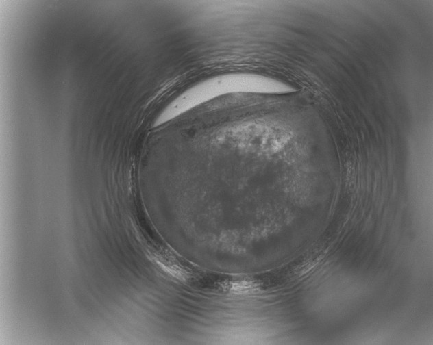 X0000057070165200510010143