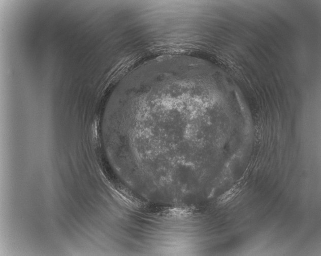 X0000057070166200510010143