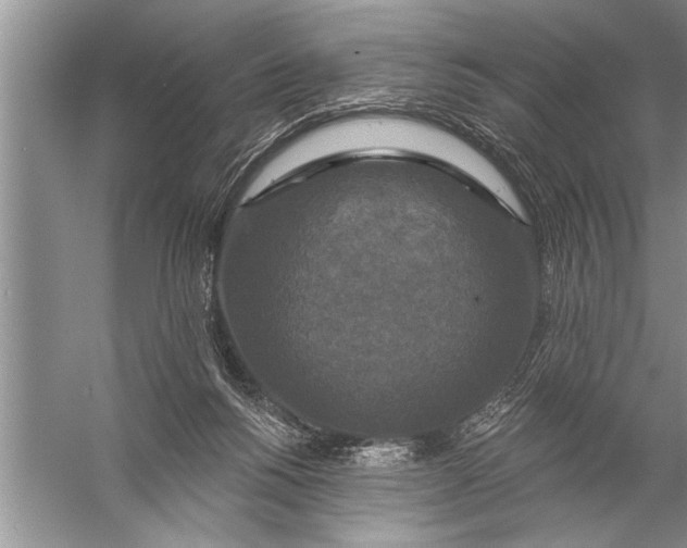 X0000057070168200510010143