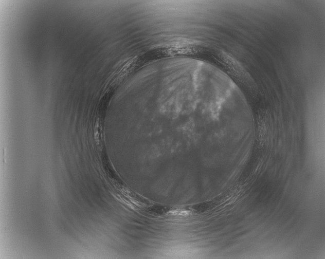 X0000057070169200510010143