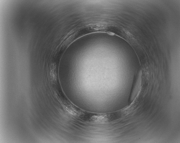 X0000057070170200510010143