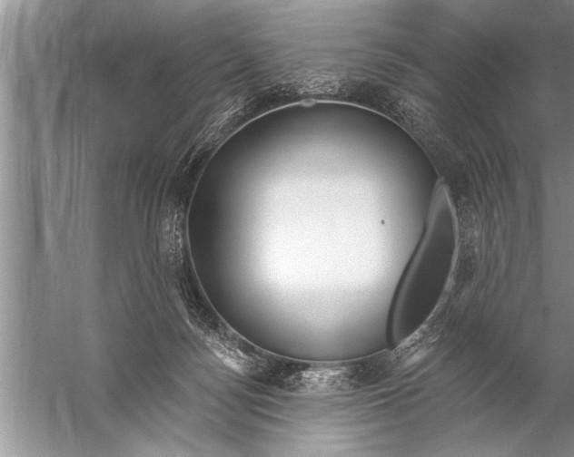 X0000057070172200510010143