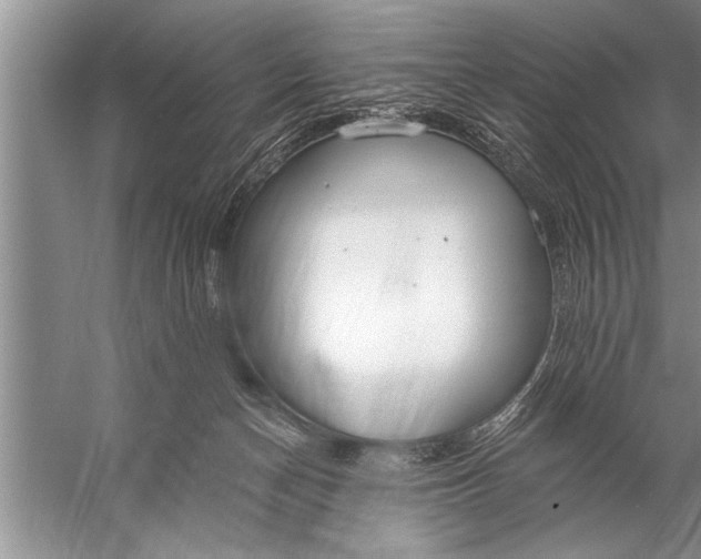 X0000057070174200510010143