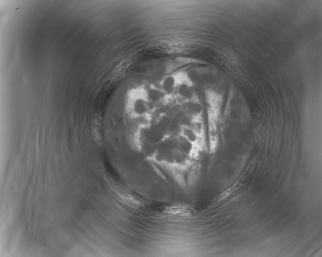 X0000057070175200510010143