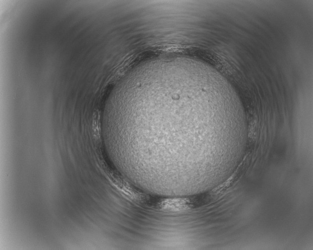 X0000057070179200510010143