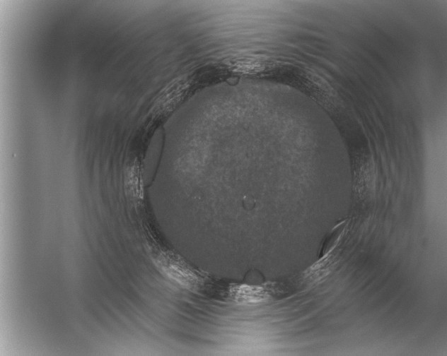 X0000057070180200510010143