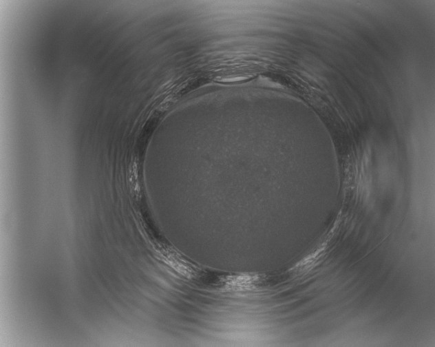 X0000057070182200510010143