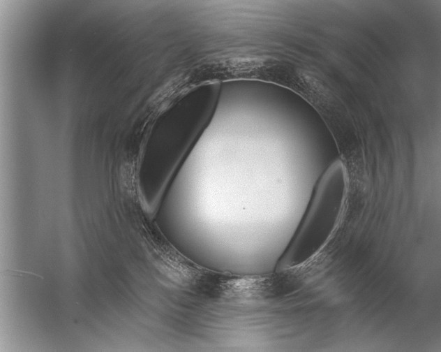 X0000057070184200510010143