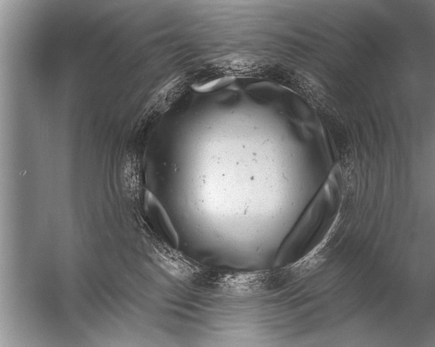 X0000057070186200510010143