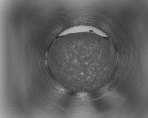 X0000057070189200510010143