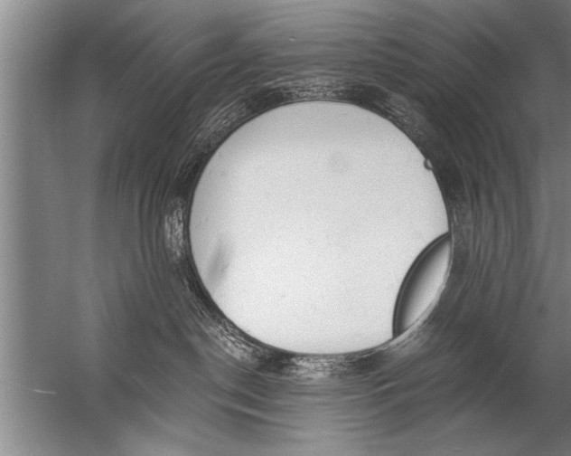 X0000057070190200510010143