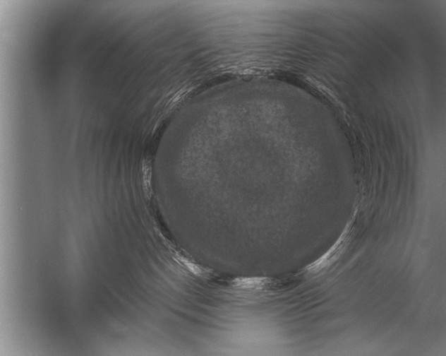 X0000057070192200510010143