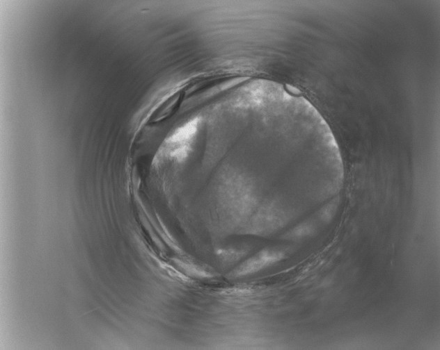 X0000057070194200510010142