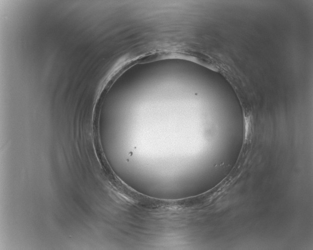 X0000057070195200510010142