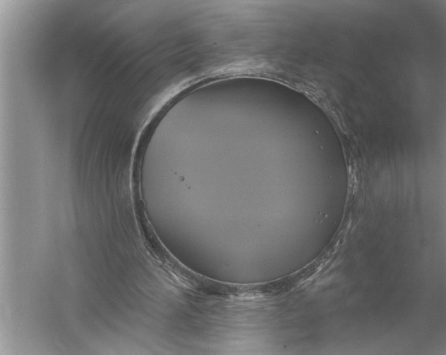 X0000057070196200510010142