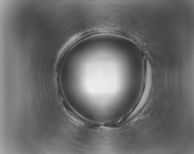 X0000057070197200510010142