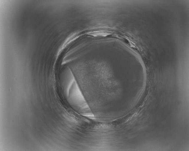 X0000057070198200510010142