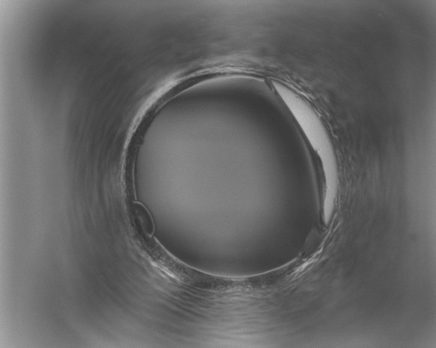 X0000057070200200510010142