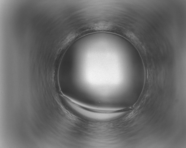 X0000057070201200510010142