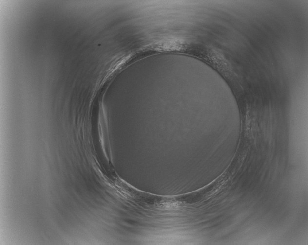 X0000057070202200510010142