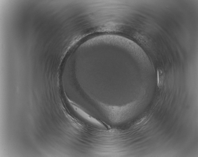 X0000057070204200510010142