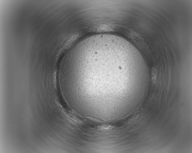 X0000057070206200510010142