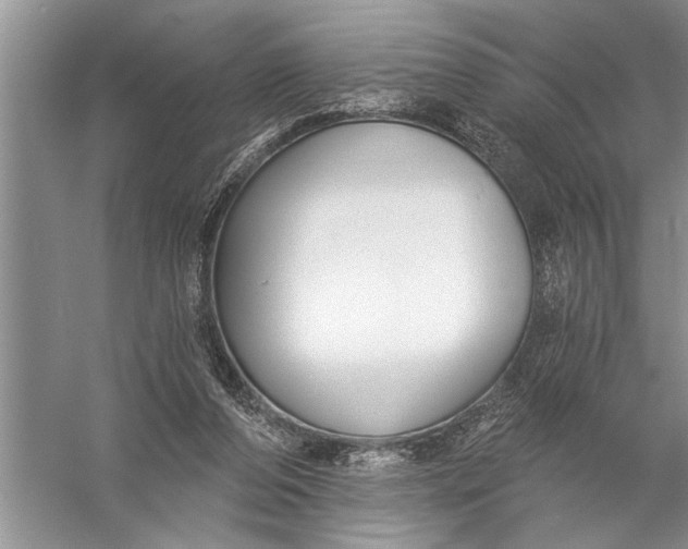 X0000057070208200510010142