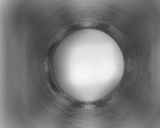 X0000057070210200510010142