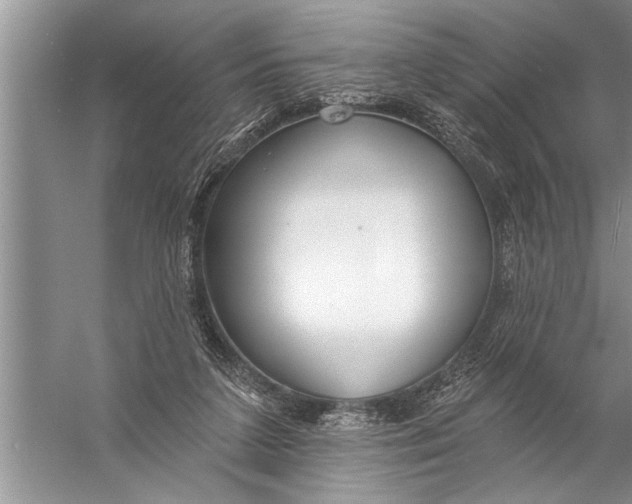 X0000057070211200510010142