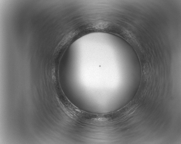 X0000057070212200510010142