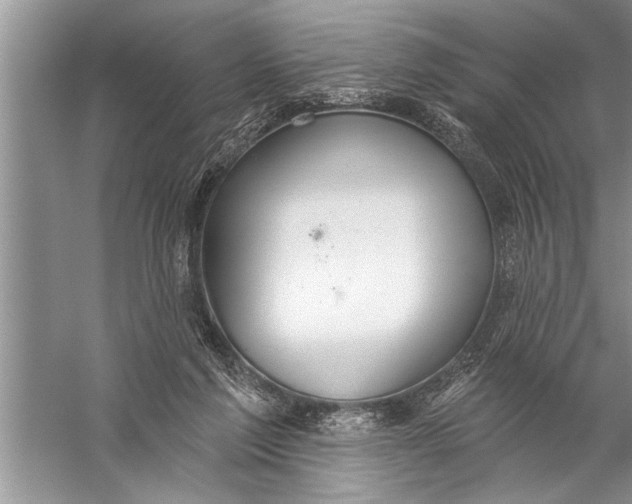 X0000057070213200510010142