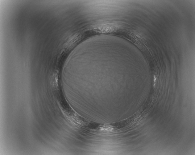 X0000057070214200510010142