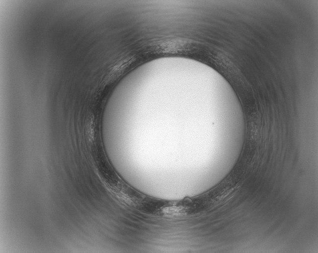 X0000057070216200510010142