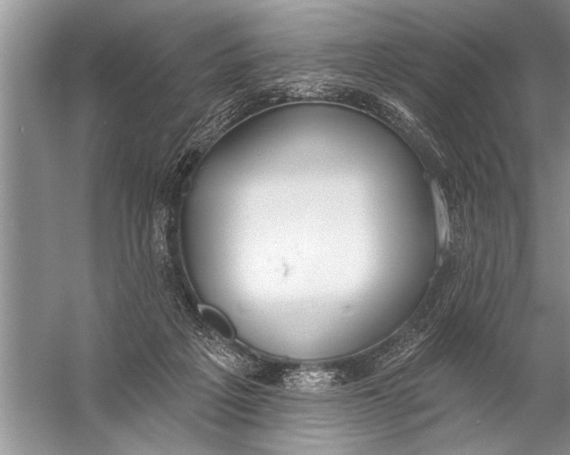 X0000057070217200510010142