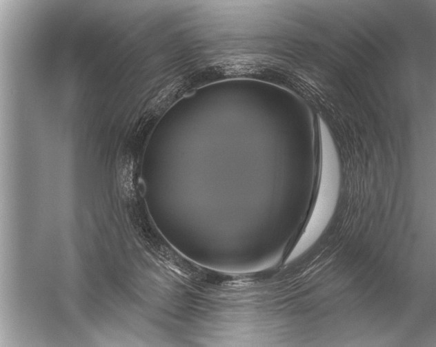 X0000057070219200510010142