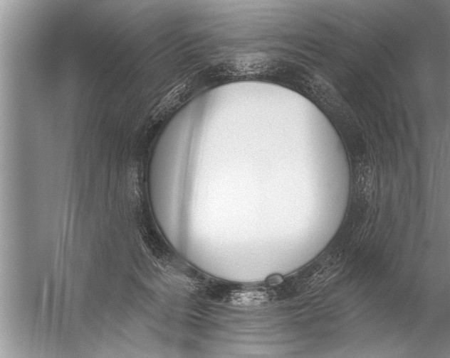 X0000057070220200510010142