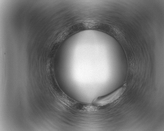 X0000057070221200510010142