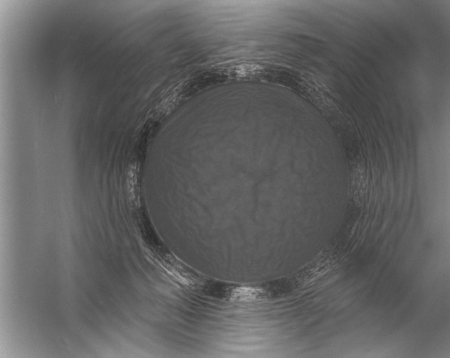 X0000057070222200510010142